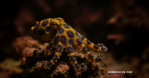 Hábitat del pulpo de anillos azules